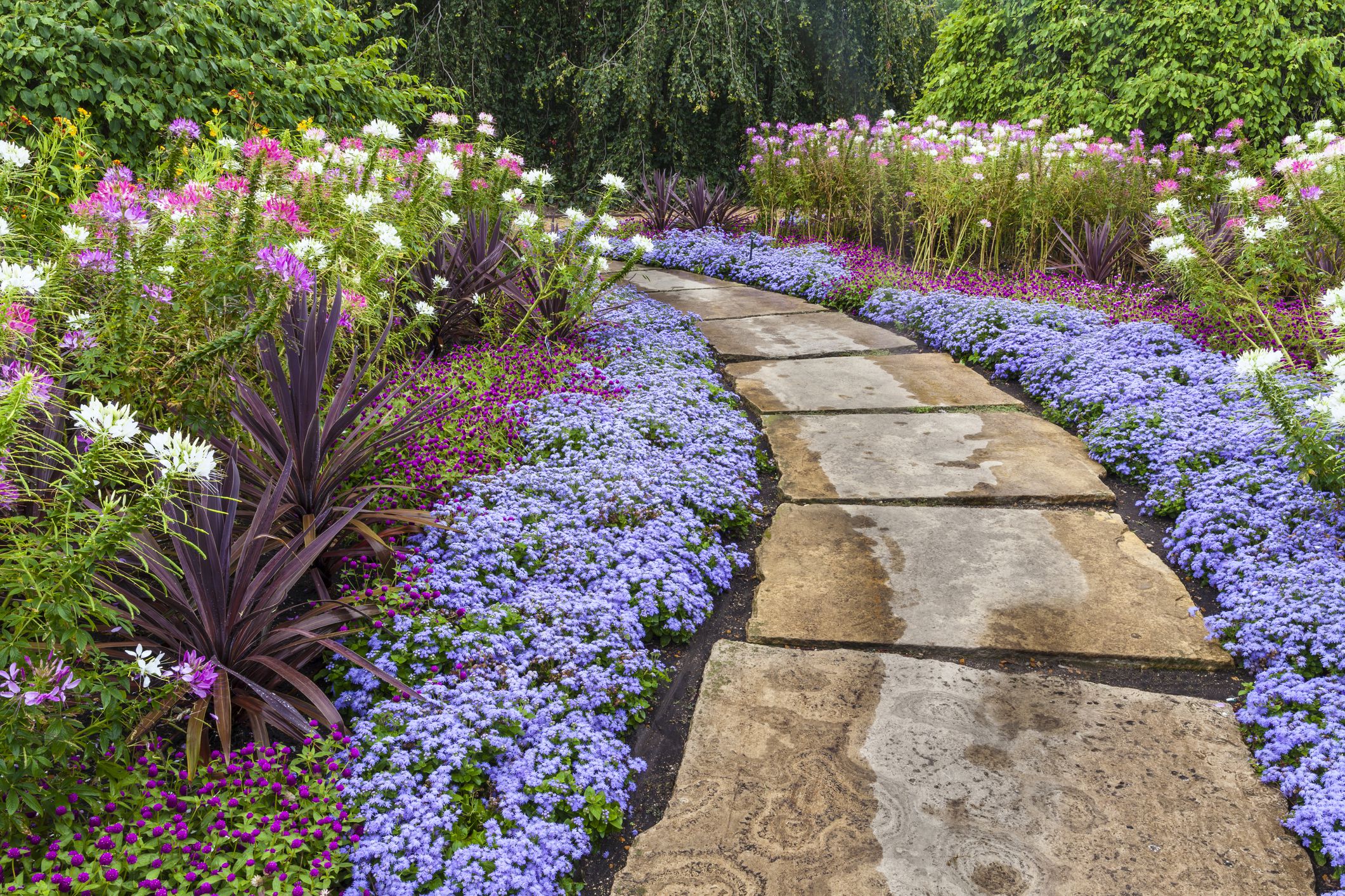 Landscaping on a Budget: 5 Easy Money-Saving Ideas