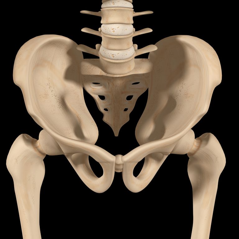 tilted-pelvis-symptoms-treatments-causes-and-distinctions