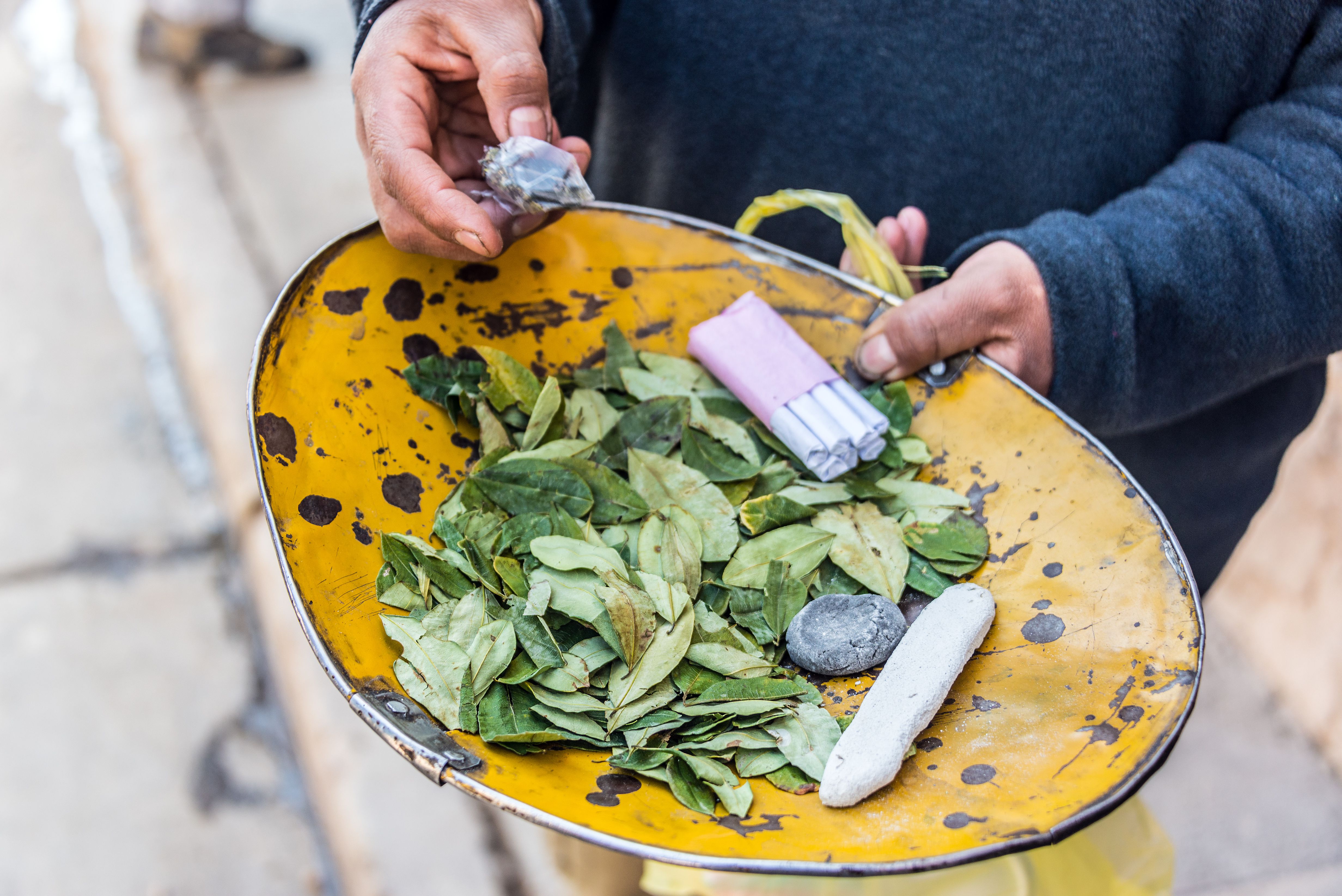 Tobacco Origins and Domestication of Nicotiana