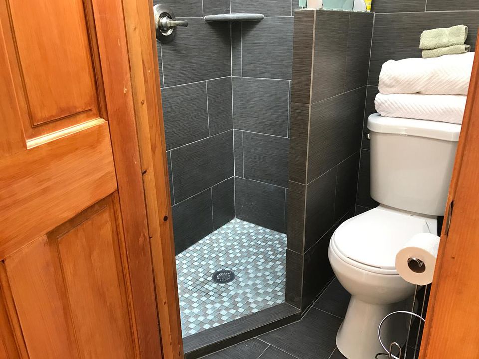 tiny bathroom with shower no sink