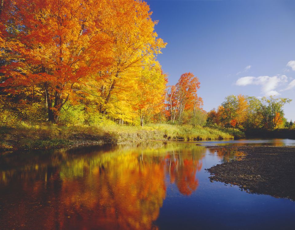 New England Fall Foliage Tours - The Best Guided Trips