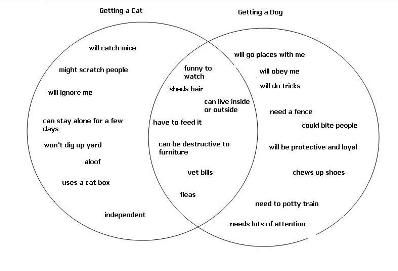 proper test theory questions Diagram for Venn Contrast Essay Using Compare a a and