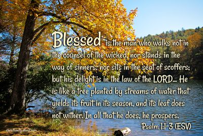 My Deliverer - Psalm 18:1-3 - Verse of the Day