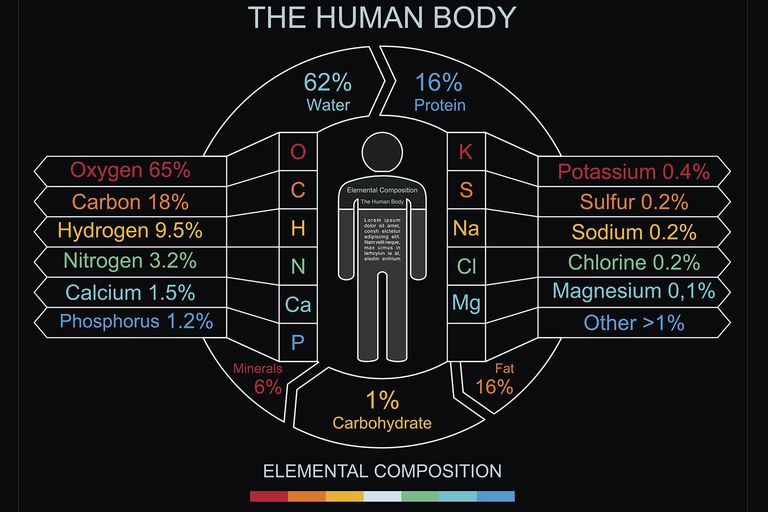 elements-in-the-human-body-and-what-they-do