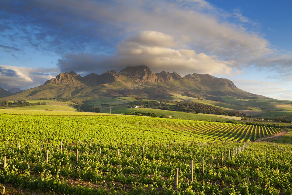 10-of-the-best-places-to-visit-in-south-africa