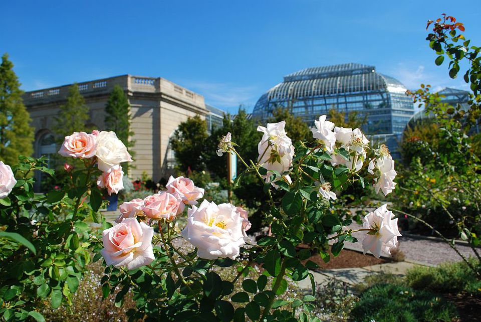 View The Garden Washington Dc Images