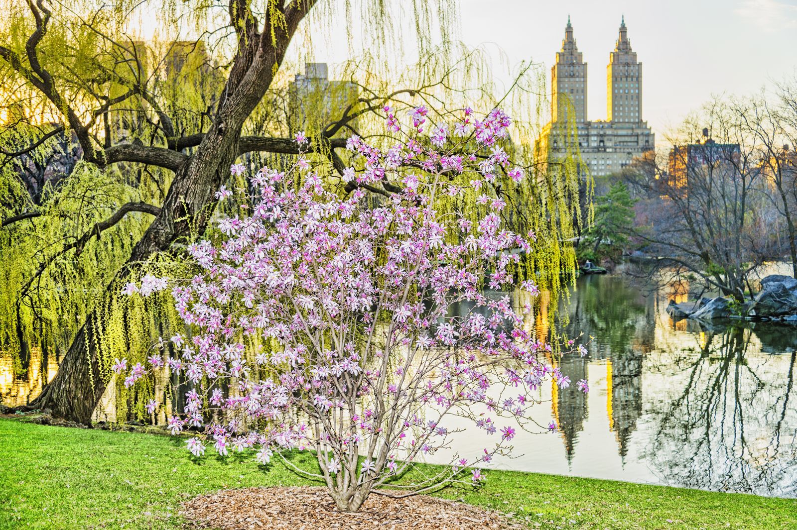 A Guide to Visiting New York City in May
