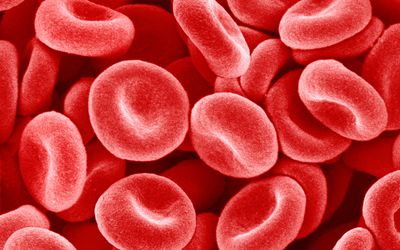 Hemolysis: How Hemolytic Anemias Attack Red Blood Cells