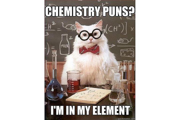 Chemistry Cat is in his element when it comes to chemistry puns.