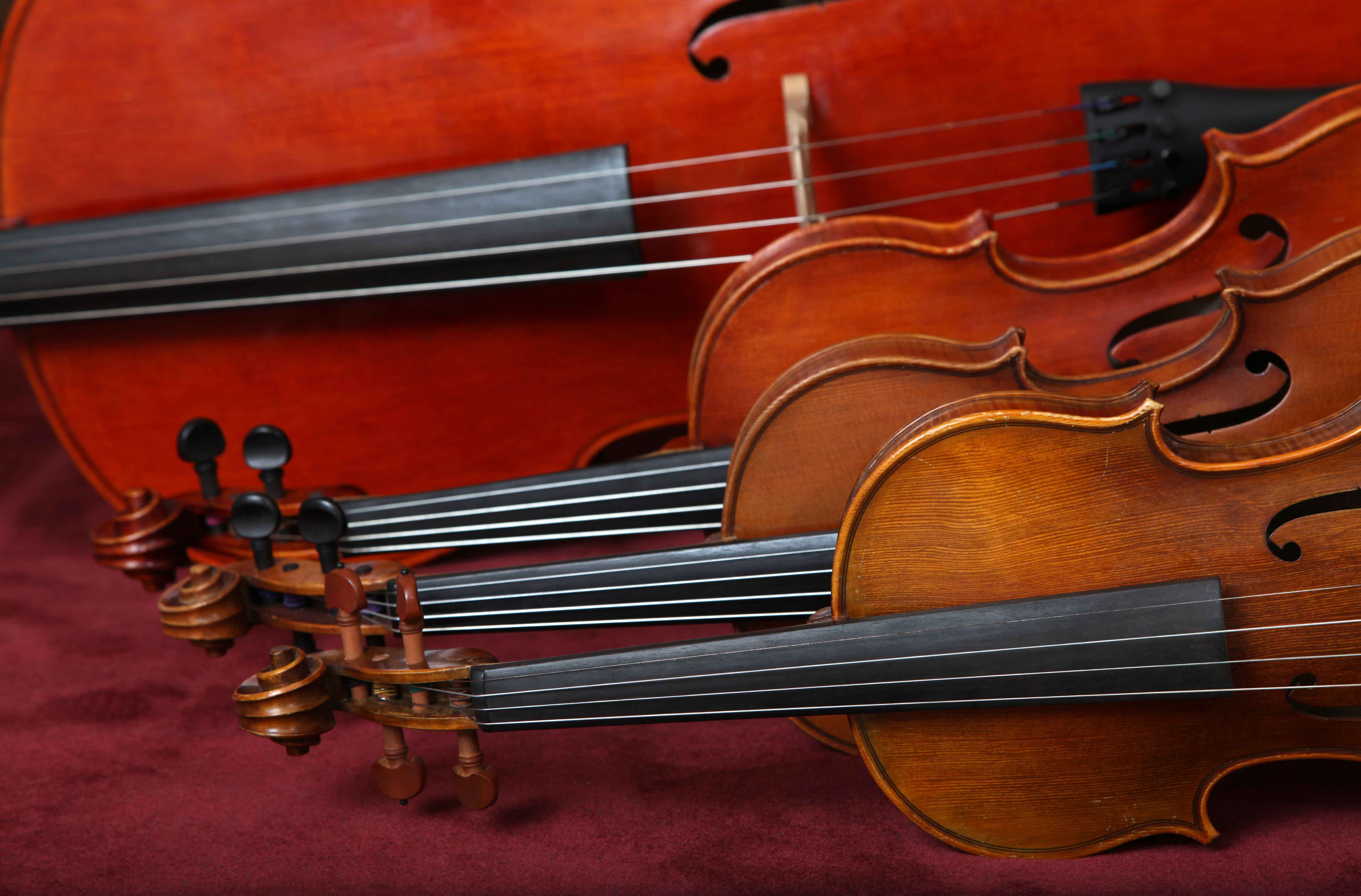 classic stringed instruments