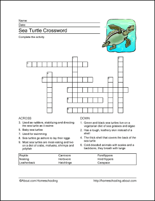 Sea Turtle Word Search, Crossword Puzzle, and More