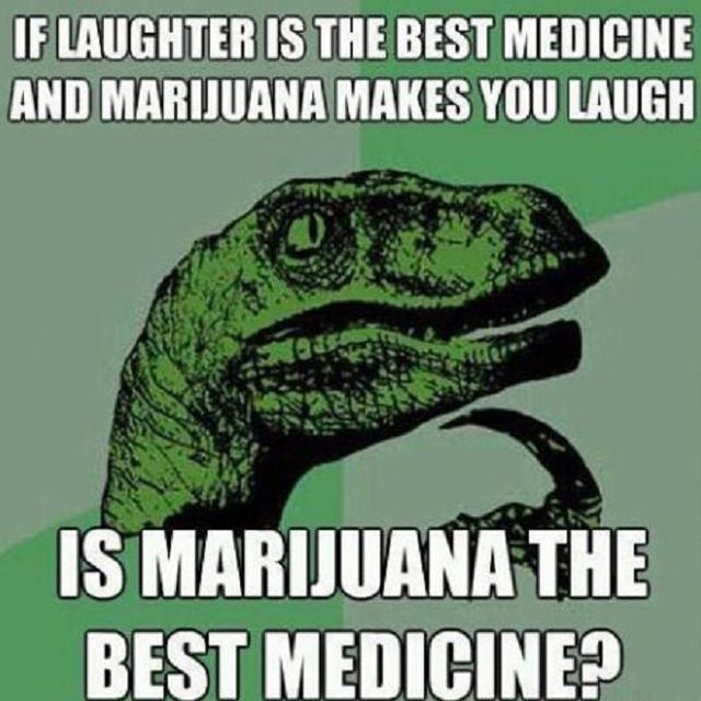 4/20 Humor - The Best Weed Jokes and Memes for 4/20
