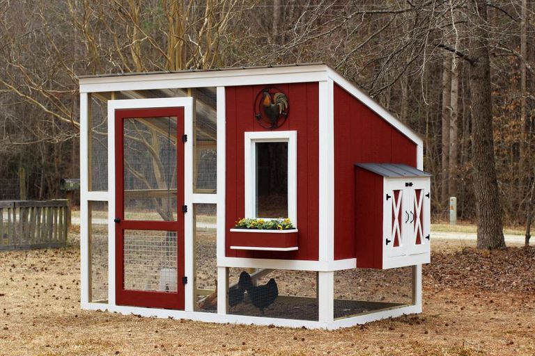 11 Free Chicken Coop Plans You Can DIY This Weekend