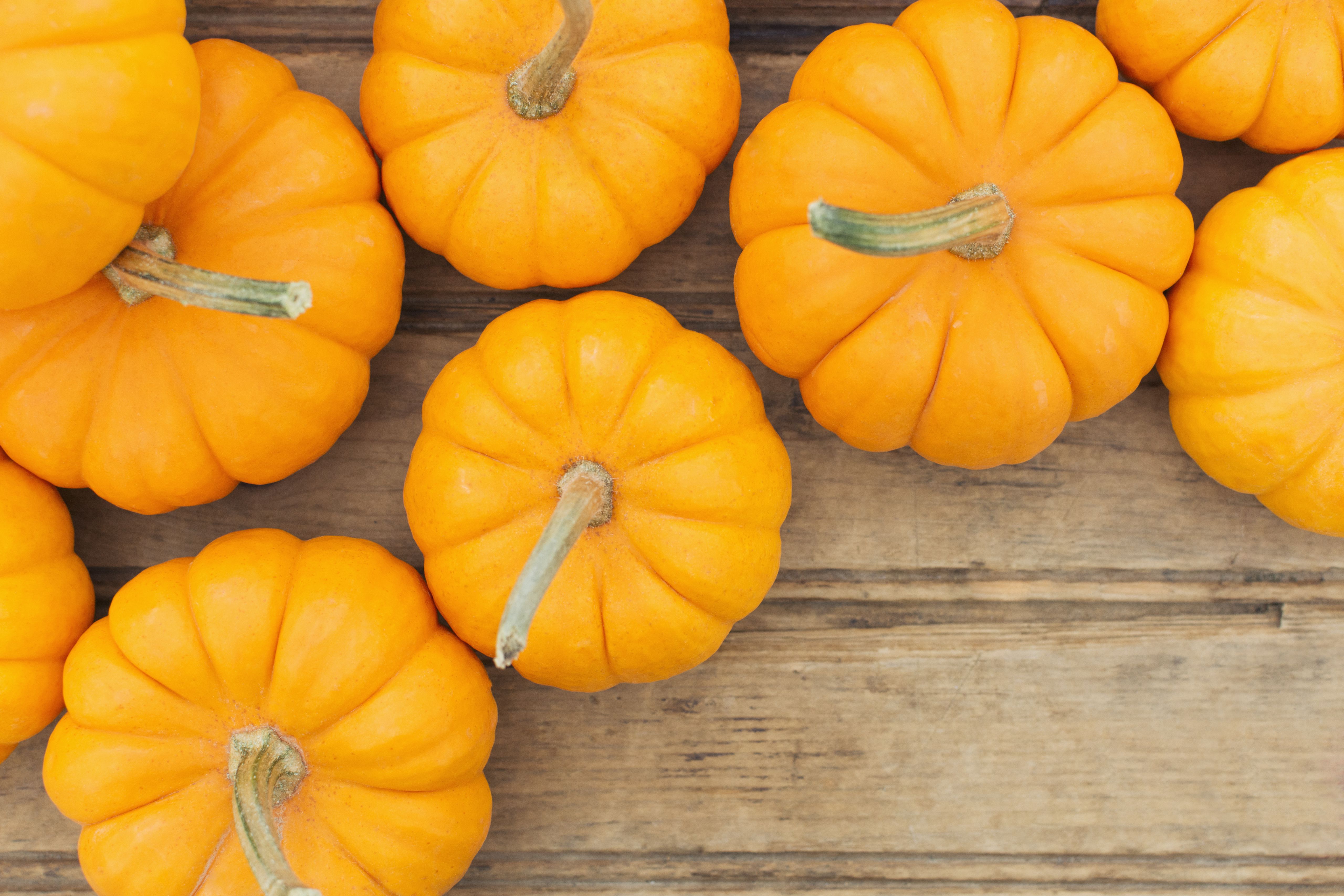 pumpkin-history-the-history-of-pumpkins-as-food