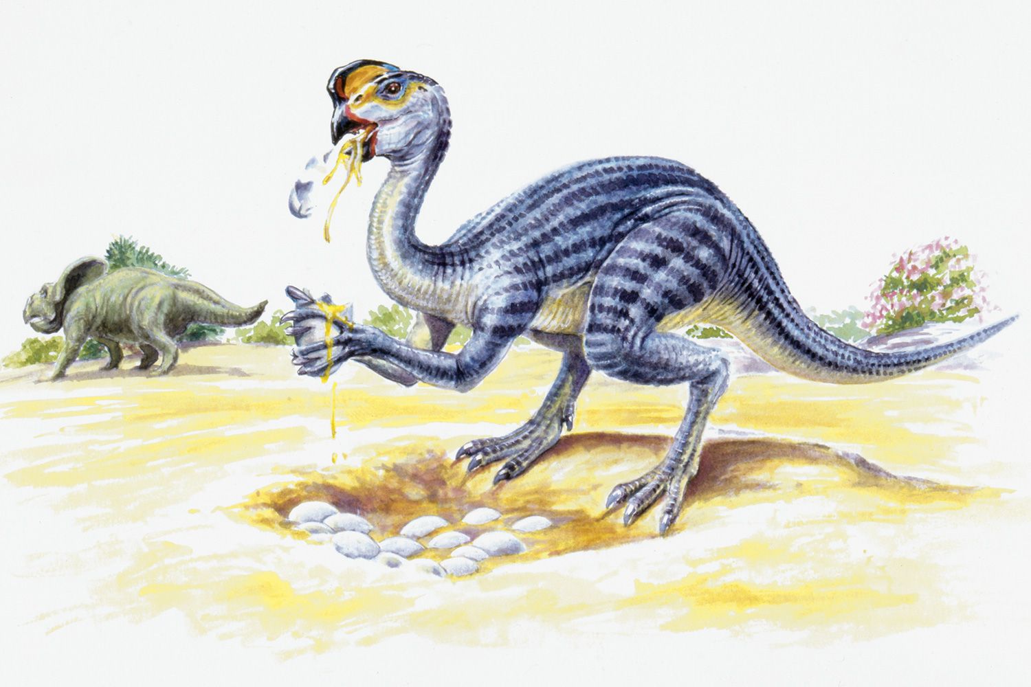 Types of dinosaurs - jesmono