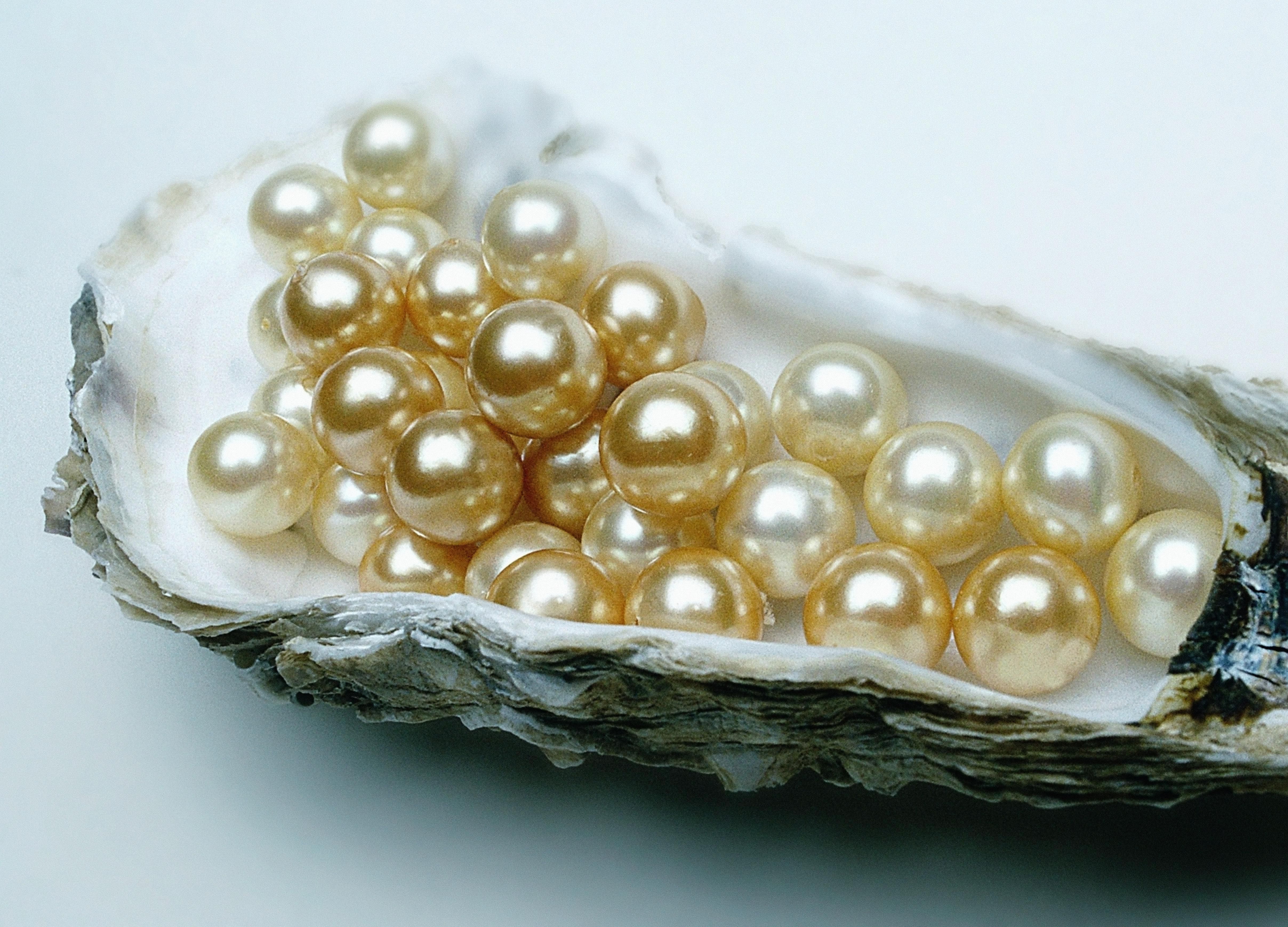 Pearls Vintage 82