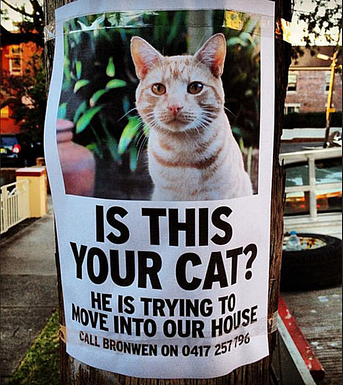 20-funny-lost-and-found-pet-posters