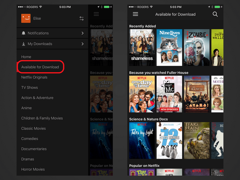 How to Watch Netflix Offline