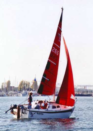 potter 19 sailboat