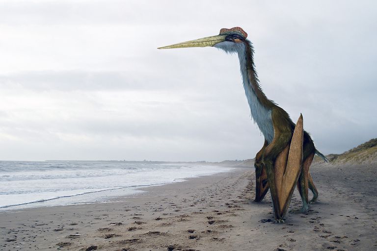 what was the biggest flying dinosaur