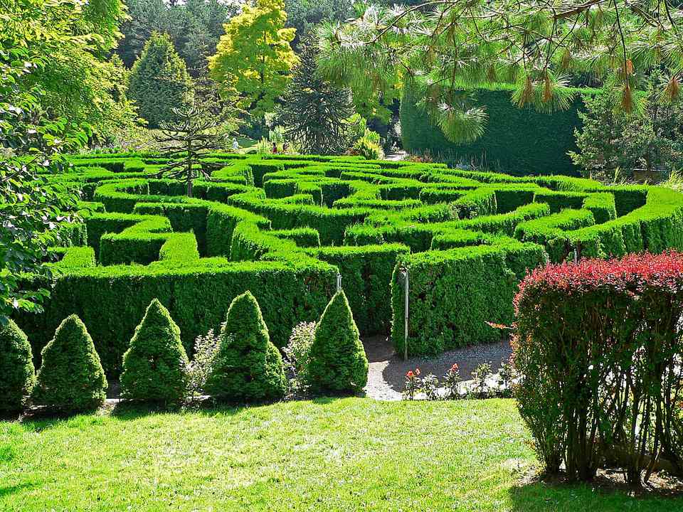 Hedge Maze at the VanDusen Botanical Garden, Vacouver