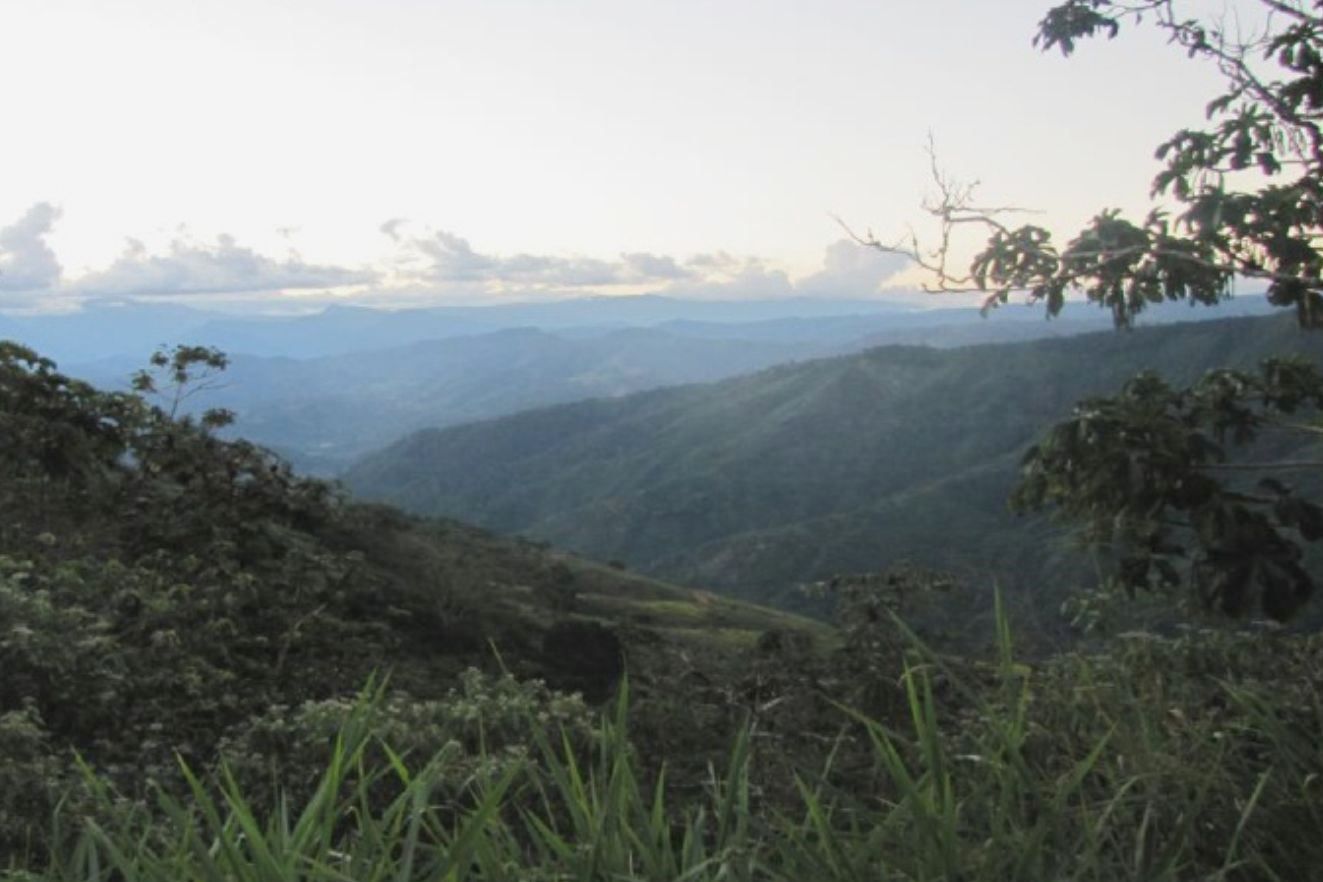 Bosques de Protección en Perú