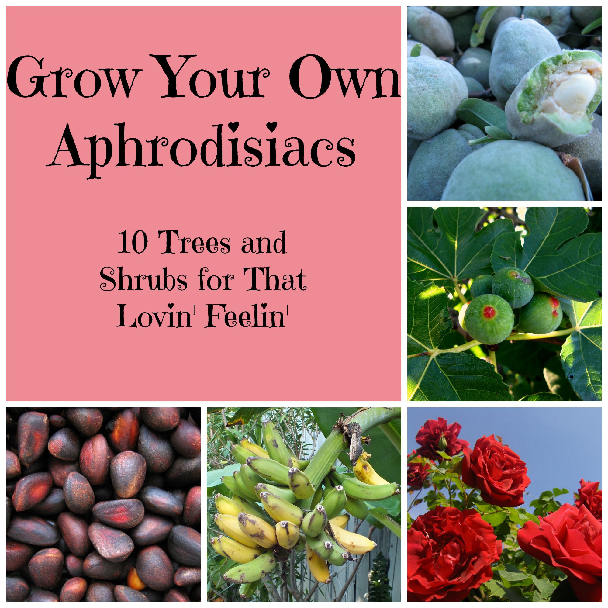 Grow Your Own Aphrodisiacs