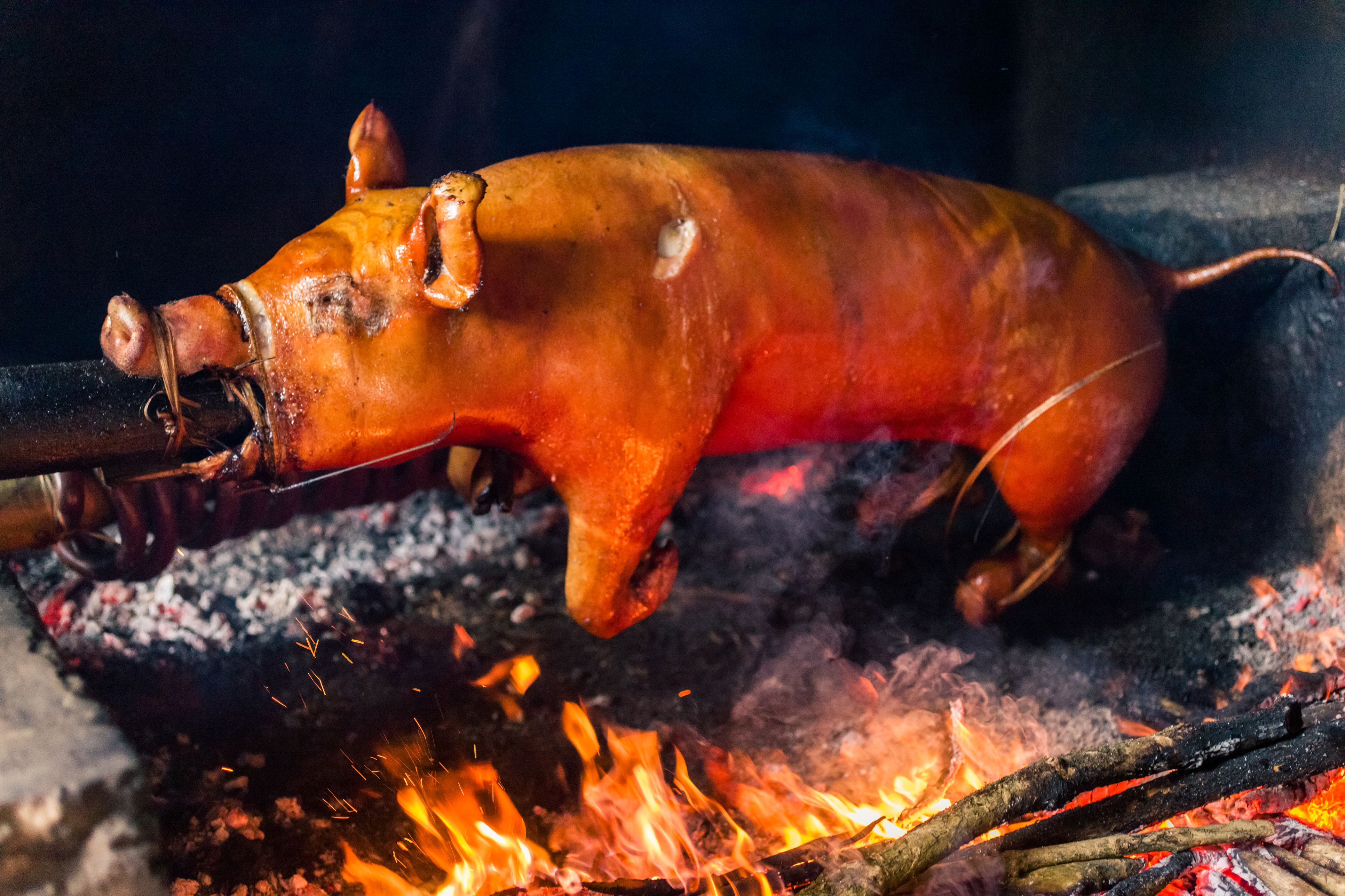 roast-suckling-pig-cochinillo-asado-recipe