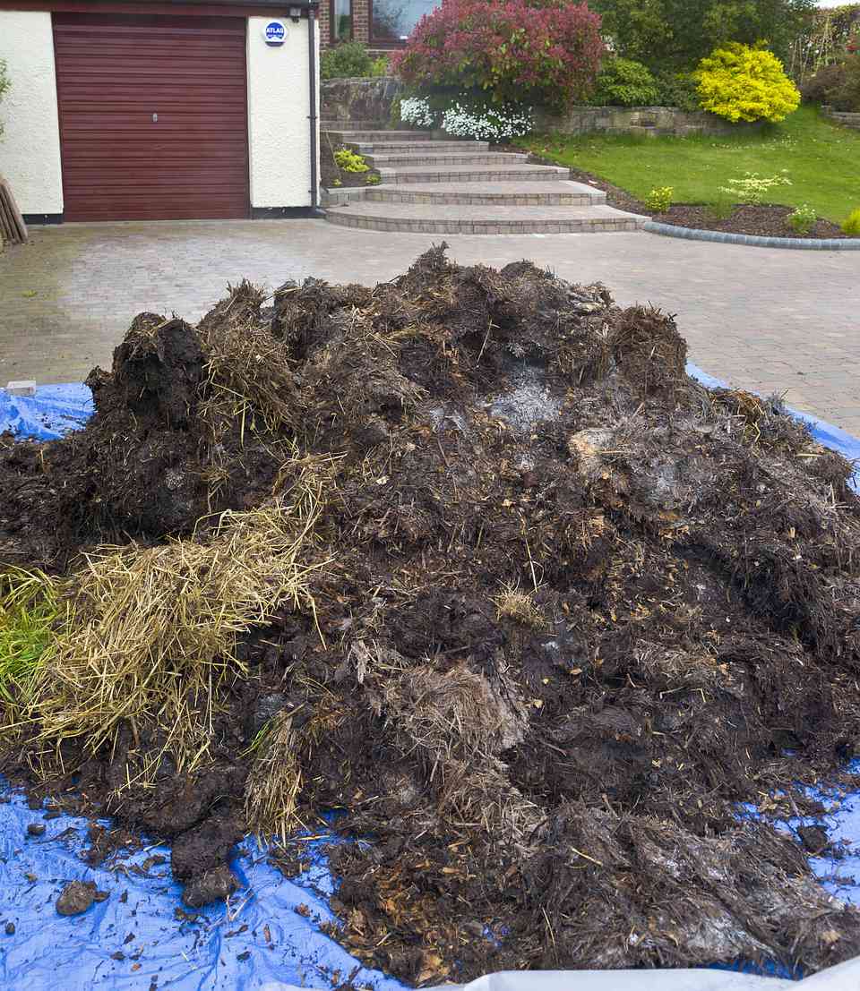 Nine Fascinating Facts About Horse Manure