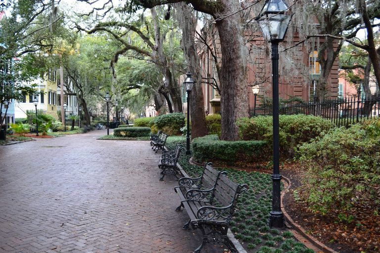 college-of-charleston-admission-sat-scores-admit-rate