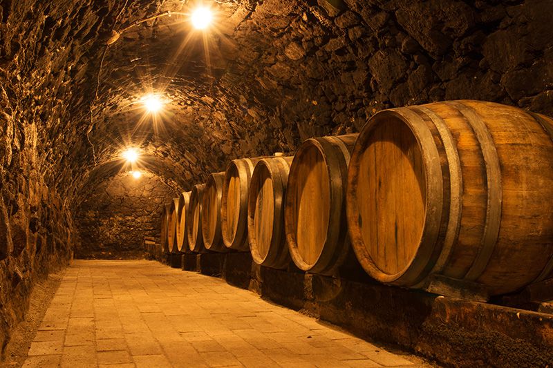 Tuscany Winery Tours - Guided Visits with Wine Tastings