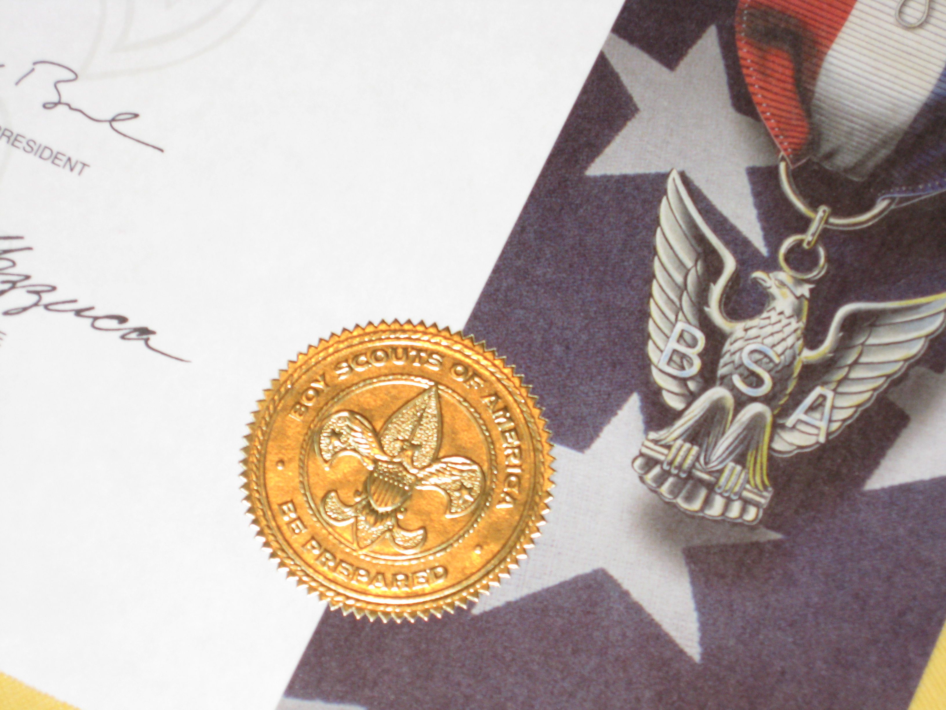 Eagle Scout Timeline From Boy Scout to Court of Honor