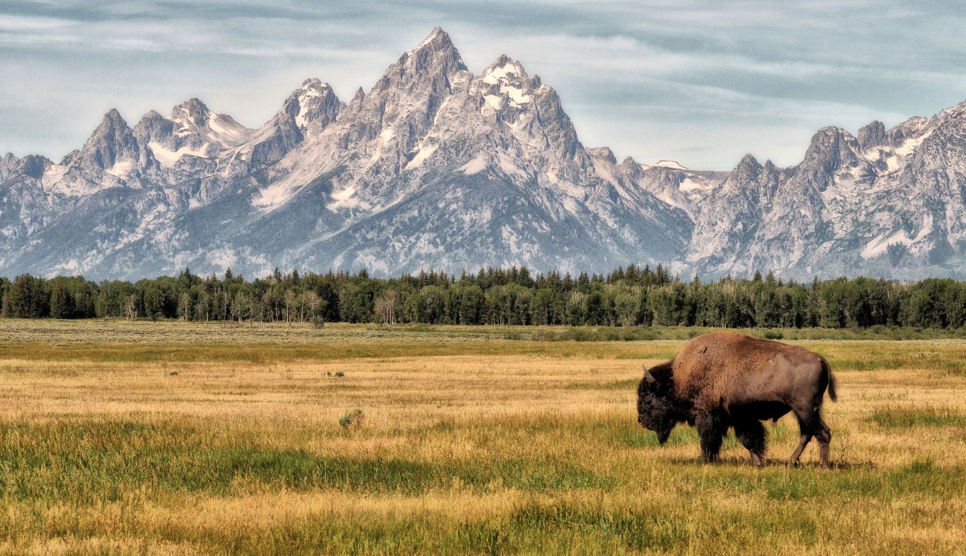 RV Destination: Grand Teton National Park