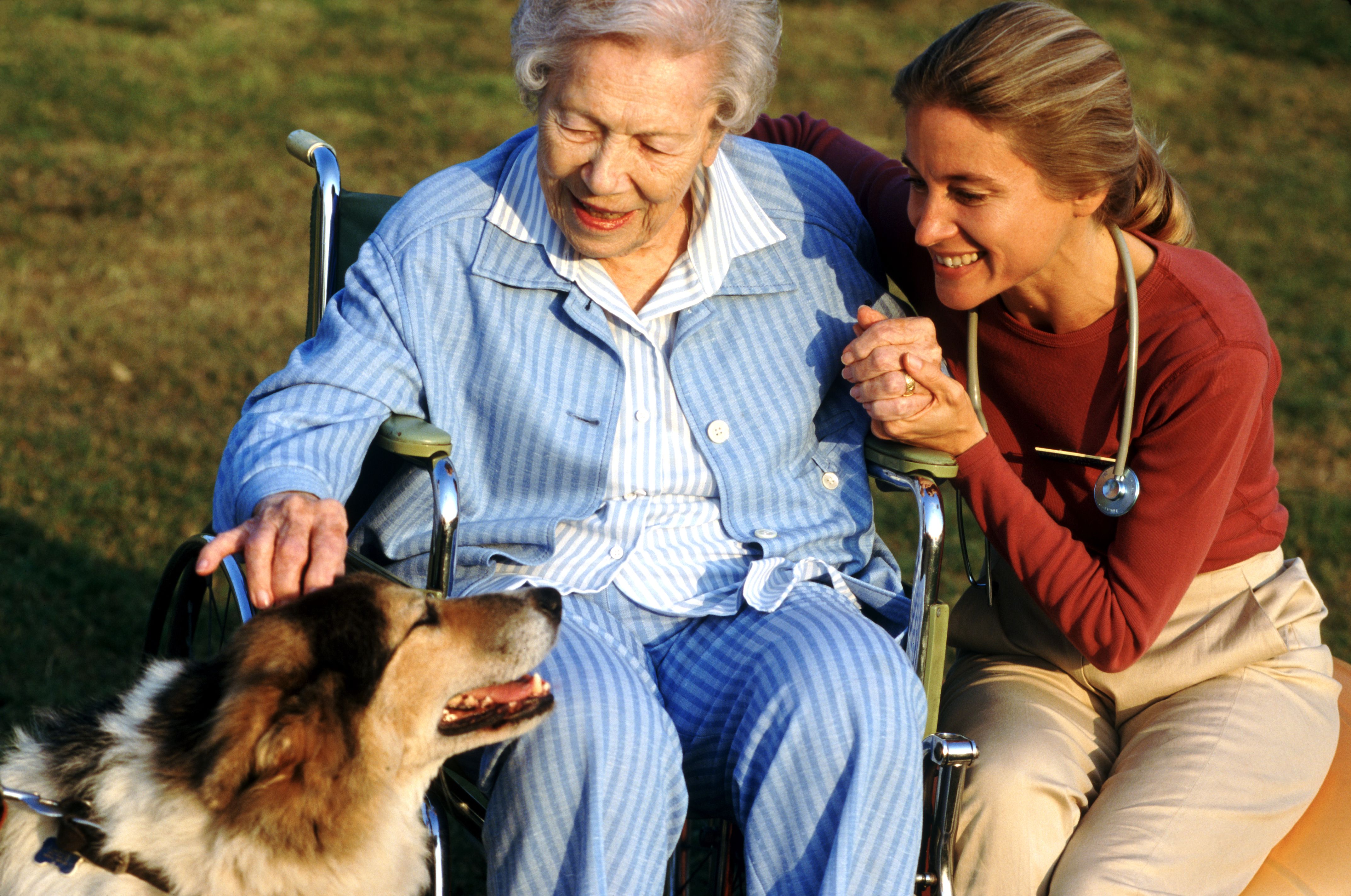 Animal-Assisted Therapy Certification Tips