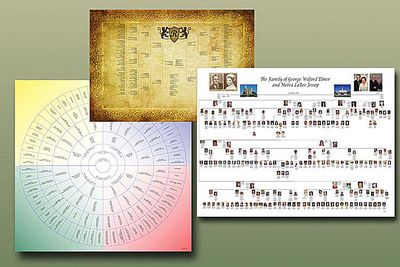 interactive family tree chart