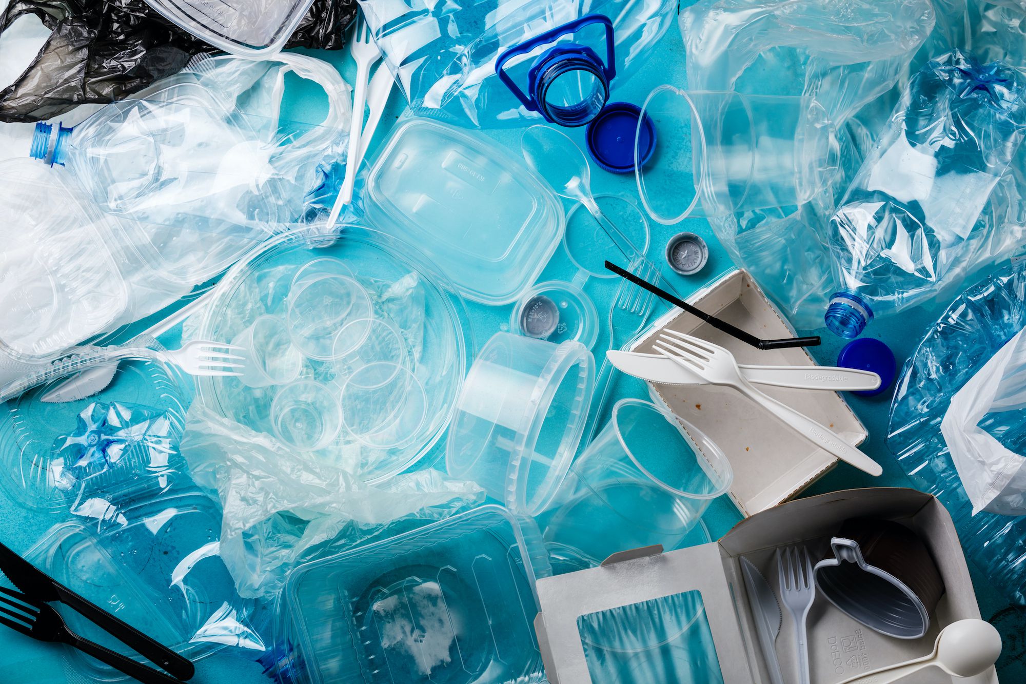 Chinas Switch to Biodegradable Plastics