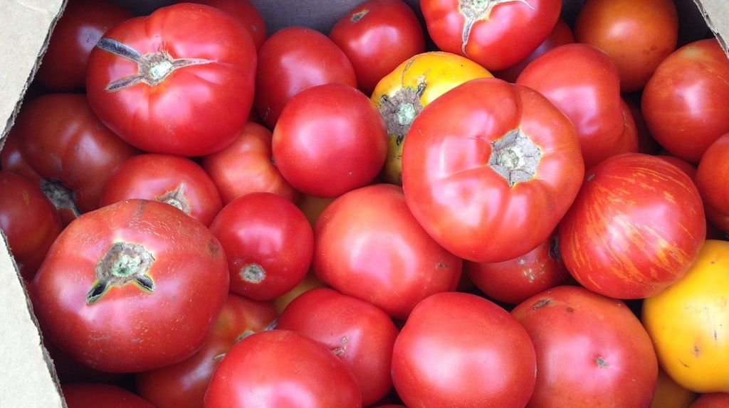 This Is How Tomatoes Should Really Taste