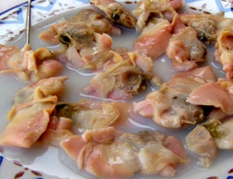 sudado-de-machas-.jpg