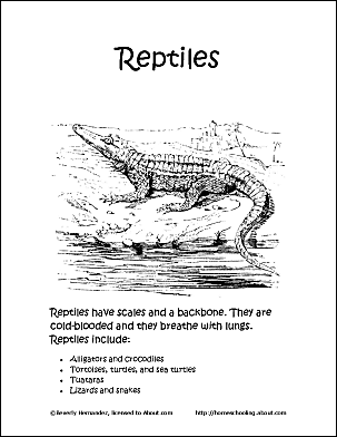 Download Reptiles Coloring Book - Ten Different Pages