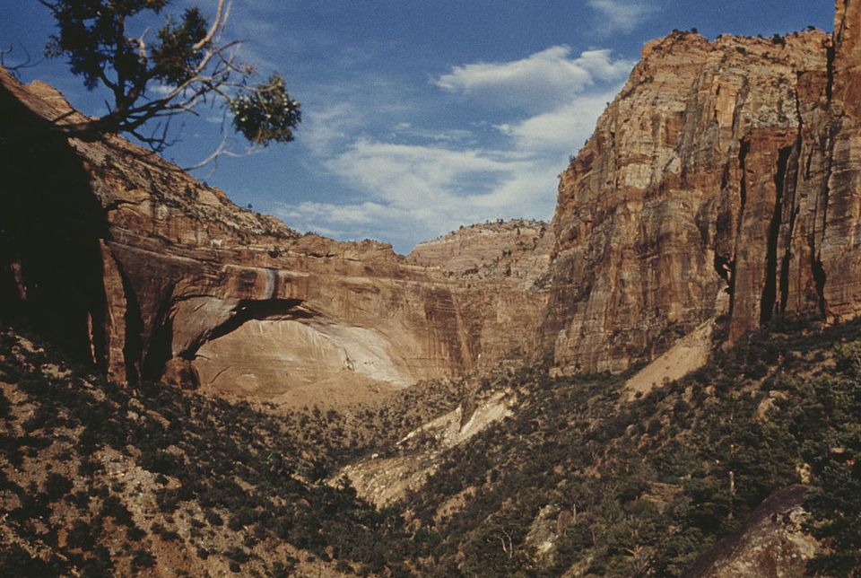The Top 10 Things to Do in Zion National Park