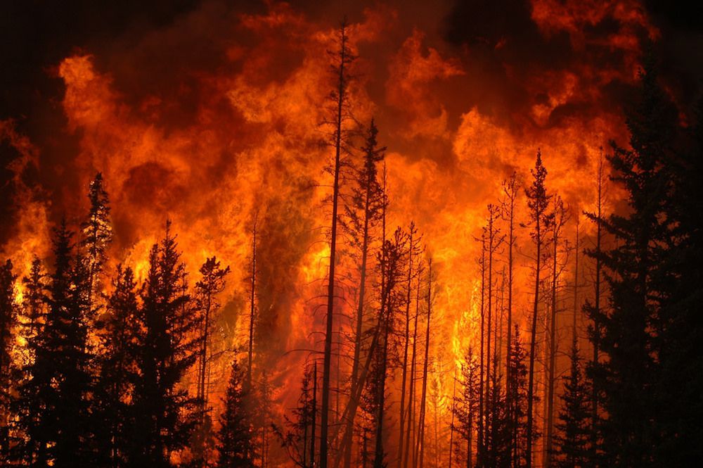 They Are All Climate Arsonists and Nihilists
