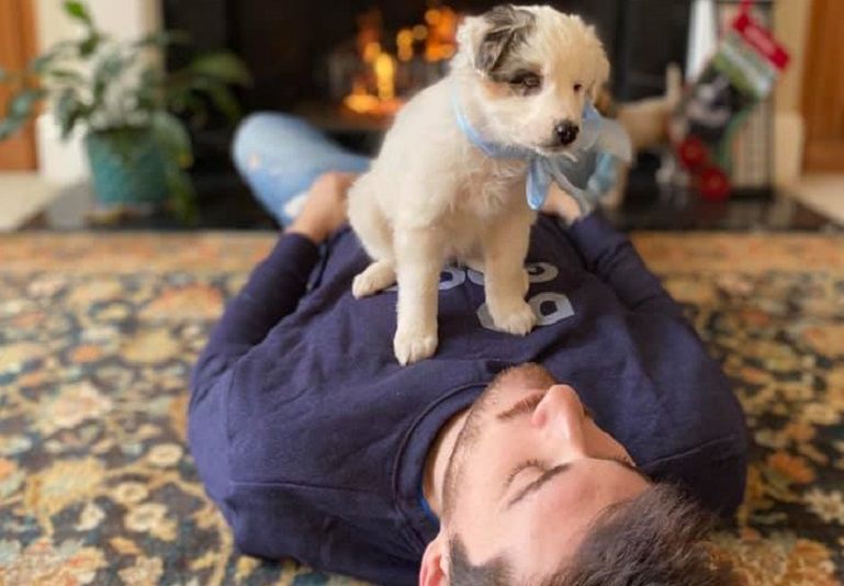 Your Dog Just Had an Amazing Year
