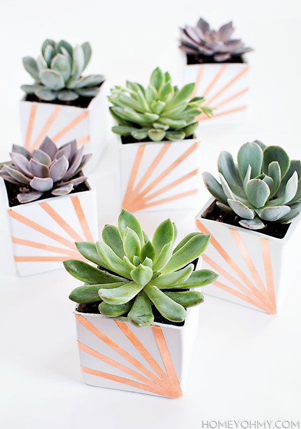 DIY Copper Planters