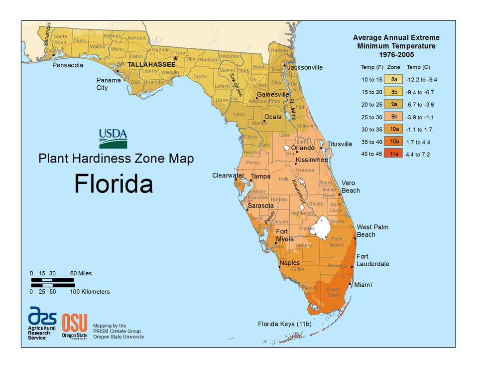 time zone map florida