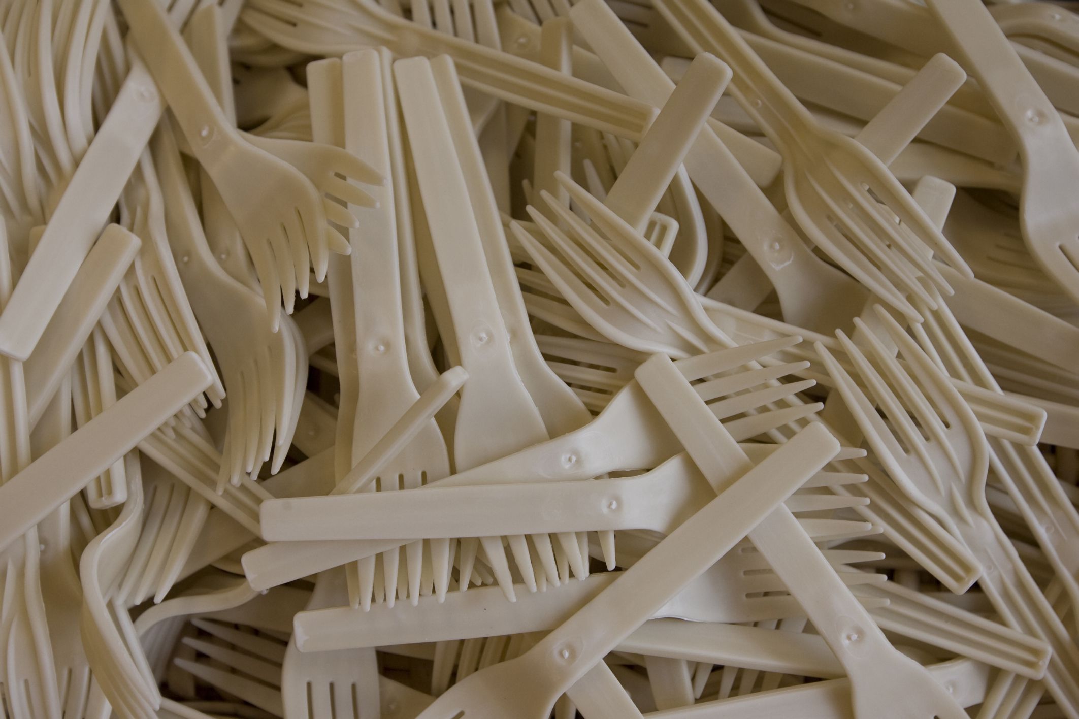 What Are Biodegradable Materials Definition