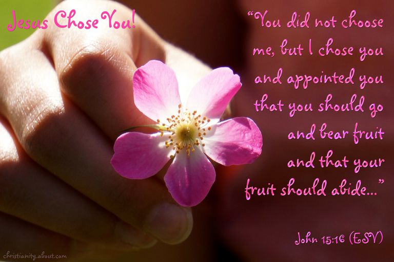 Jesus Chose You - John 15:16 - Verse of the Day