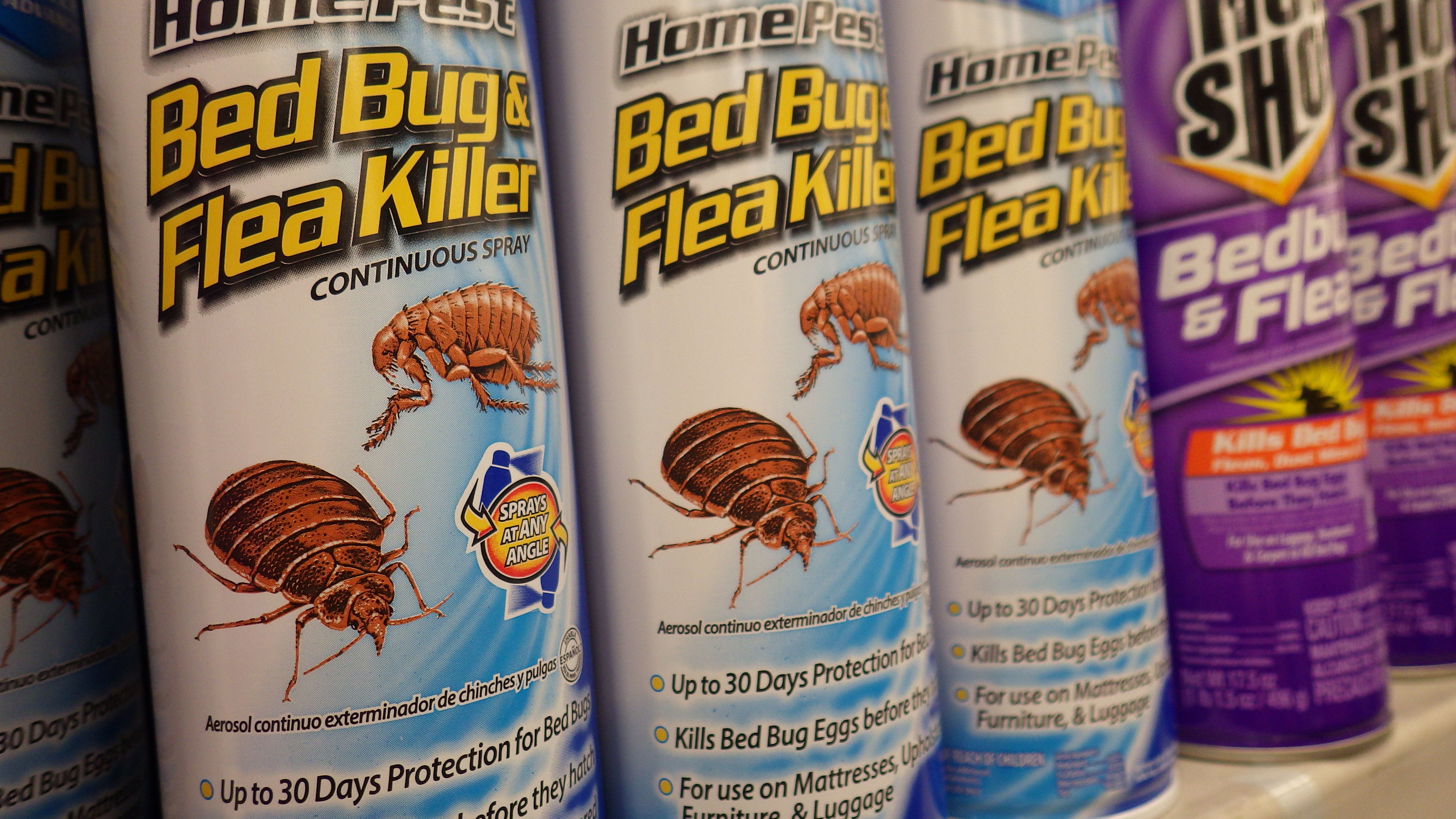 When to Use a Bug Bomb to Control Pests