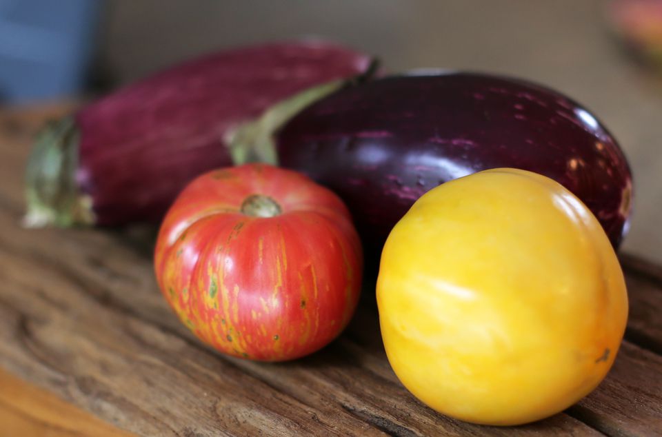 Roasted Eggplant and Tomatoes With Parmesan Cheese