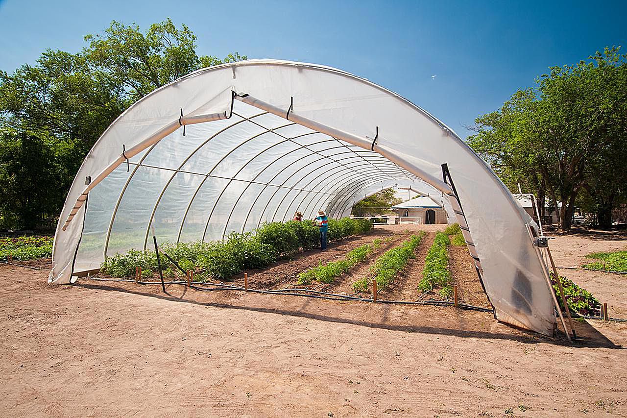 High Tunnels for Your Small Farm