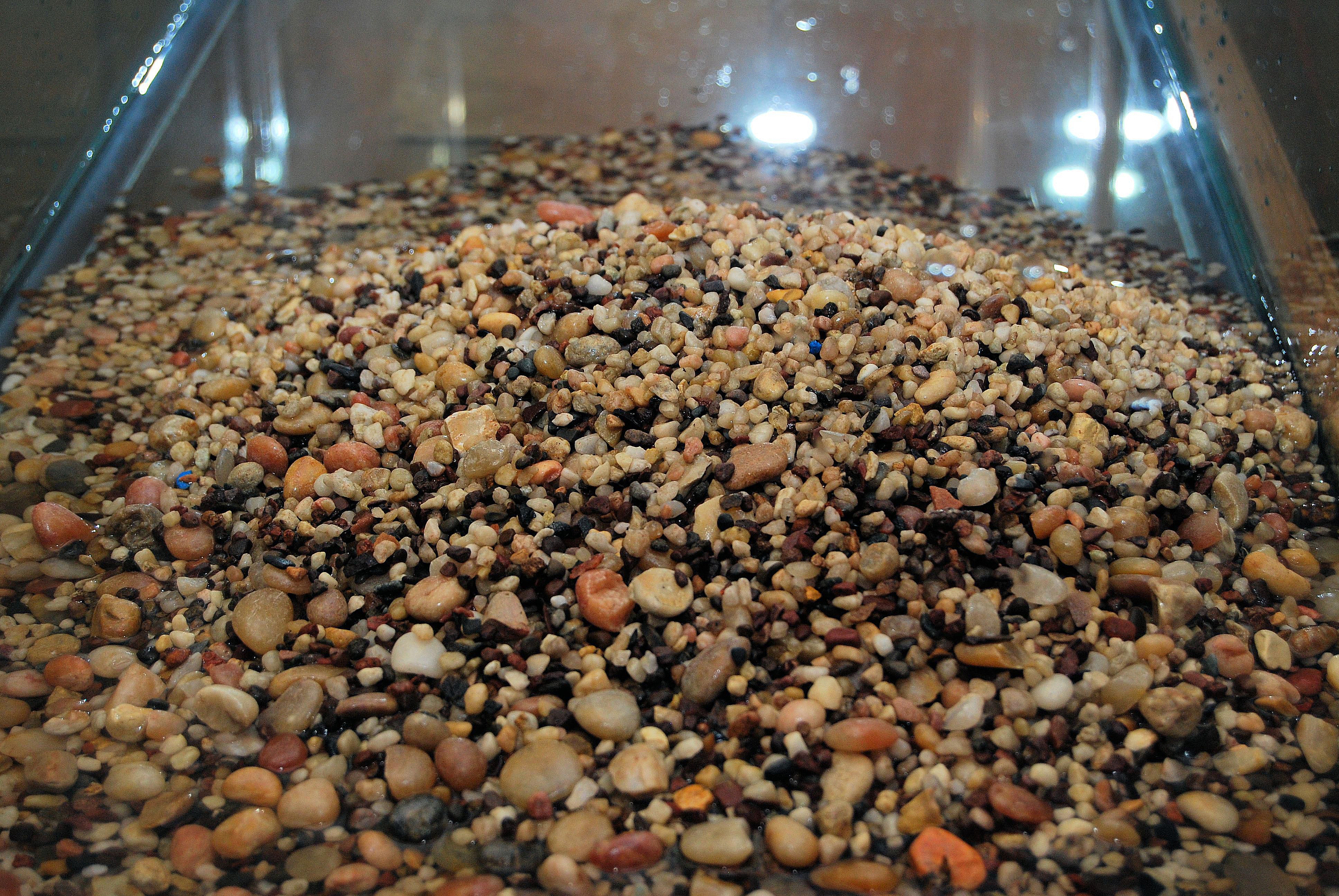 Aquarium Substrate Setup for Live Plants